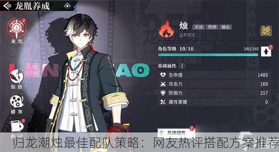 归龙潮烛最佳配队策略：网友热评搭配方案推荐