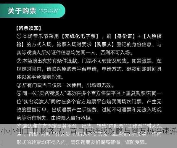 小小仙王开服盛况：首日保姆级攻略与网友热评速递！