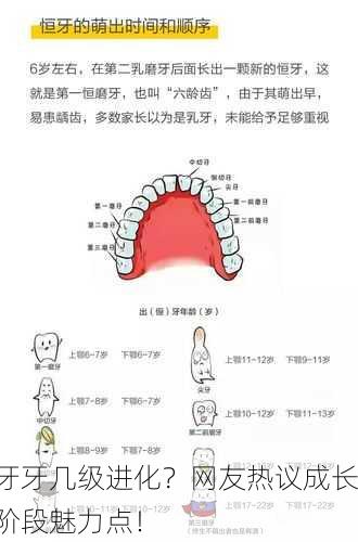 牙牙几级进化？网友热议成长阶段魅力点！