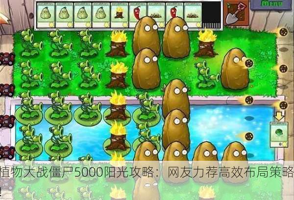 植物大战僵尸5000阳光攻略：网友力荐高效布局策略！