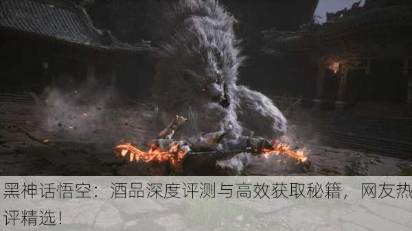 黑神话悟空：酒品深度评测与高效获取秘籍，网友热评精选！
