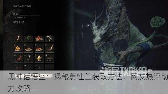黑神话悟空：揭秘蕙性兰获取方法，网友热评助力攻略