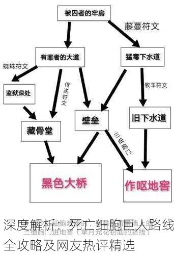 深度解析：死亡细胞巨人路线全攻略及网友热评精选