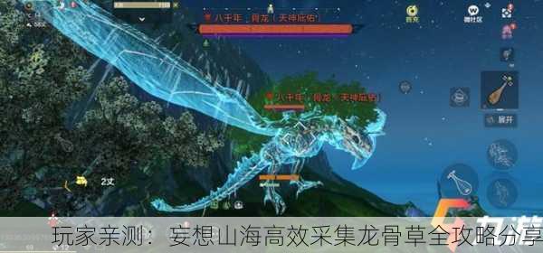 玩家亲测：妄想山海高效采集龙骨草全攻略分享