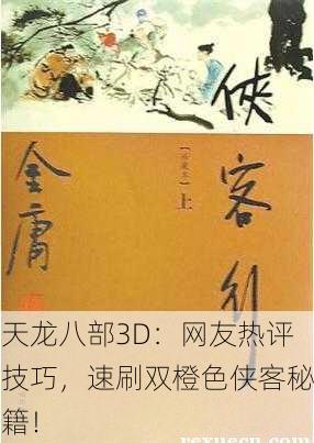 天龙八部3D：网友热评技巧，速刷双橙色侠客秘籍！