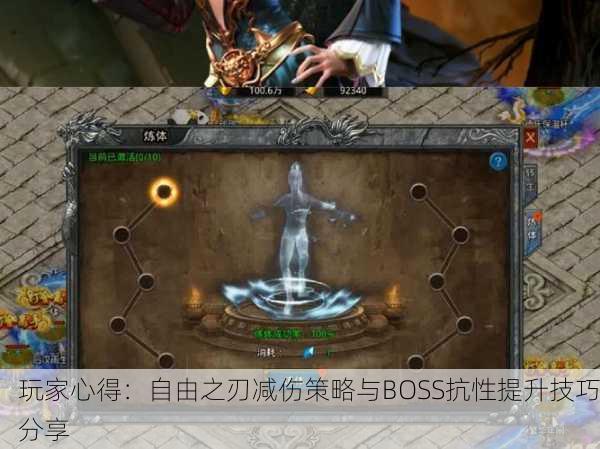 玩家心得：自由之刃减伤策略与BOSS抗性提升技巧分享