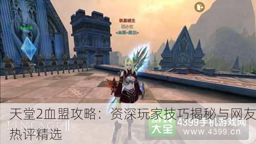 天堂2血盟攻略：资深玩家技巧揭秘与网友热评精选