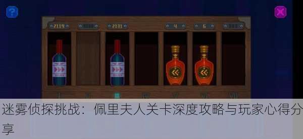 迷雾侦探挑战：佩里夫人关卡深度攻略与玩家心得分享