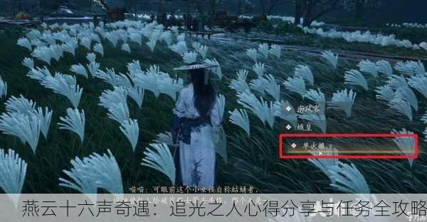 燕云十六声奇遇：追光之人心得分享与任务全攻略