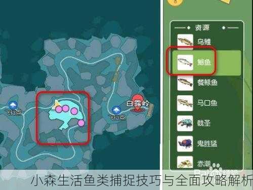 小森生活鱼类捕捉技巧与全面攻略解析