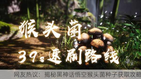 网友热议：揭秘黑神话悟空猴头菌种子获取攻略