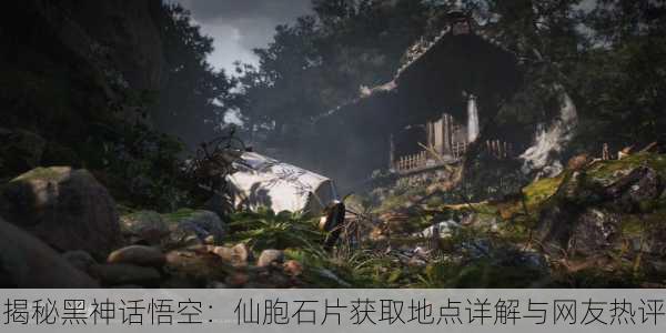 揭秘黑神话悟空：仙胞石片获取地点详解与网友热评