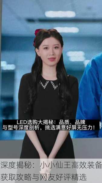 深度揭秘：小小仙王高效装备获取攻略与网友好评精选