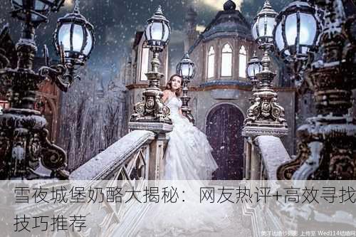 雪夜城堡奶酪大揭秘：网友热评+高效寻找技巧推荐