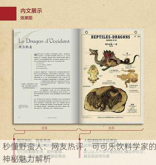 秒懂野蛮人：网友热评，可可乐饮料学家的神秘魅力解析