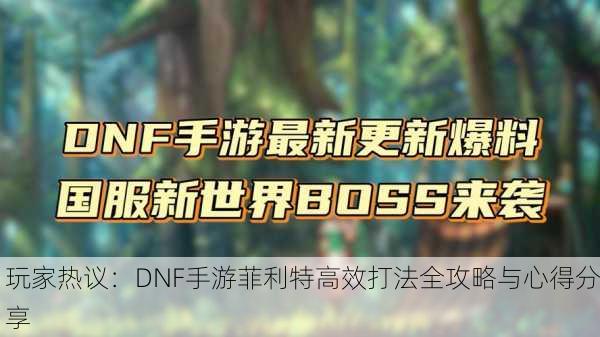 玩家热议：DNF手游菲利特高效打法全攻略与心得分享