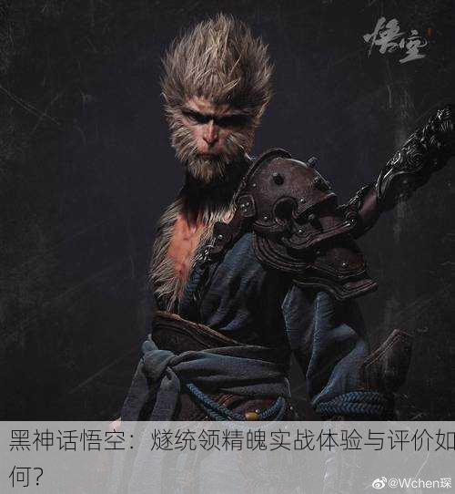 黑神话悟空：燧统领精魄实战体验与评价如何？