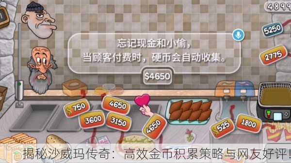 揭秘沙威玛传奇：高效金币积累策略与网友好评！