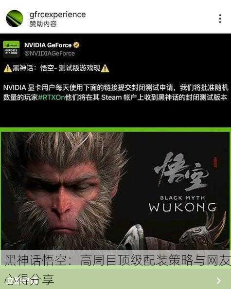黑神话悟空：高周目顶级配装策略与网友心得分享