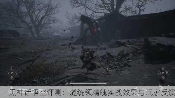黑神话悟空评测：燧统领精魄实战效果与玩家反馈