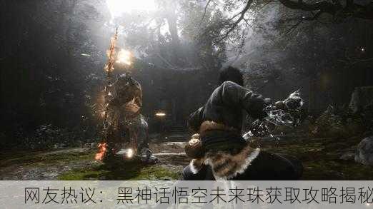 网友热议：黑神话悟空未来珠获取攻略揭秘