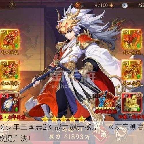 《少年三国志2》战力飙升秘籍：网友亲测高效提升法！