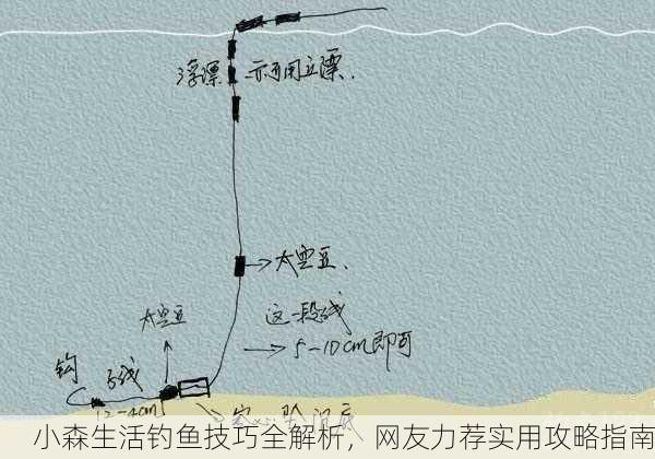 小森生活钓鱼技巧全解析，网友力荐实用攻略指南