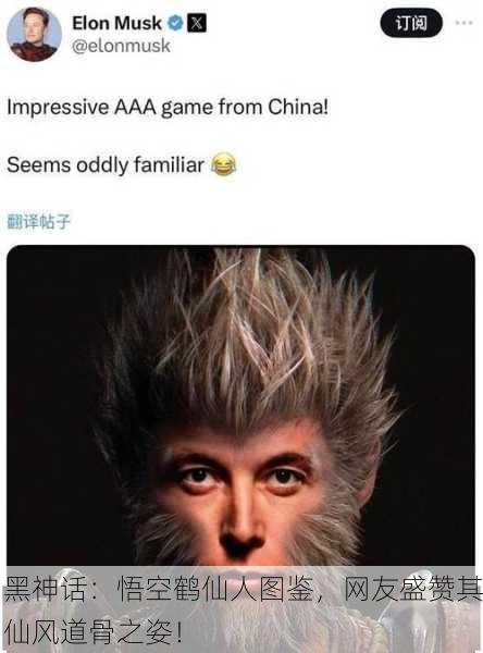 黑神话：悟空鹤仙人图鉴，网友盛赞其仙风道骨之姿！