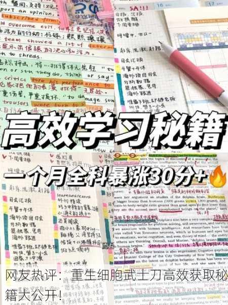 网友热评：重生细胞武士刀高效获取秘籍大公开！