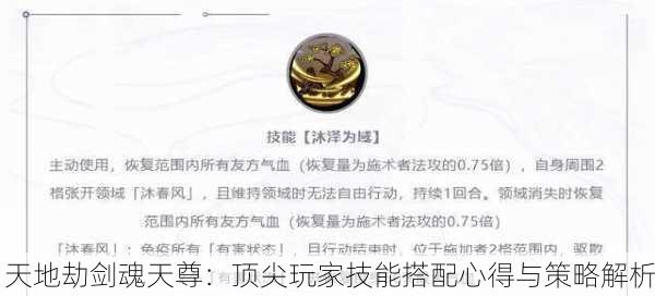 天地劫剑魂天尊：顶尖玩家技能搭配心得与策略解析