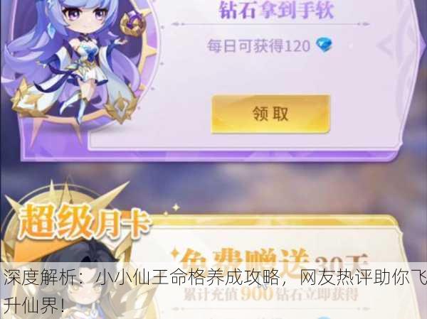 深度解析：小小仙王命格养成攻略，网友热评助你飞升仙界！