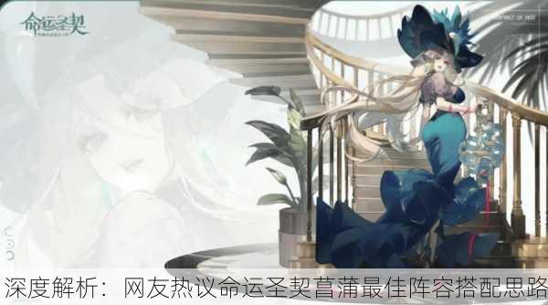 深度解析：网友热议命运圣契菖蒲最佳阵容搭配思路