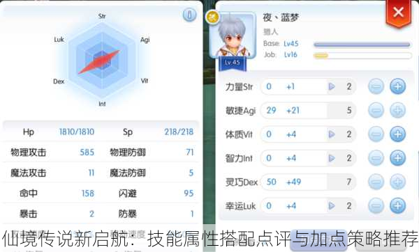 仙境传说新启航：技能属性搭配点评与加点策略推荐