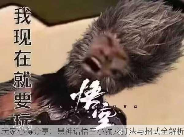 玩家心得分享：黑神话悟空小骊龙打法与招式全解析