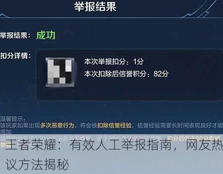 王者荣耀：有效人工举报指南，网友热议方法揭秘