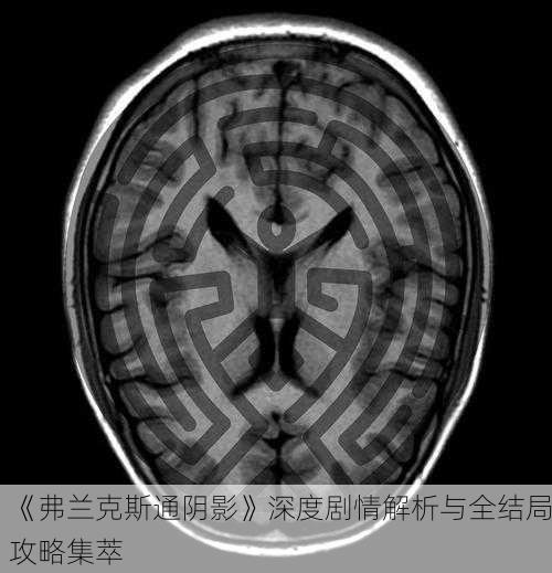 《弗兰克斯通阴影》深度剧情解析与全结局攻略集萃