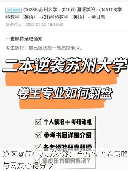 绝区零简杜养成秘笈：全方位培养策略与网友心得分享