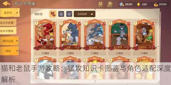猫和老鼠手游攻略：猛攻知识卡图鉴与角色适配深度解析