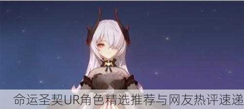 命运圣契UR角色精选推荐与网友热评速递