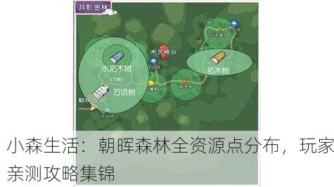 小森生活：朝晖森林全资源点分布，玩家亲测攻略集锦
