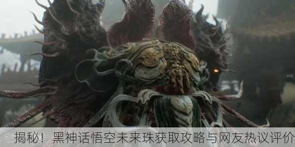 揭秘！黑神话悟空未来珠获取攻略与网友热议评价