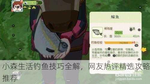小森生活钓鱼技巧全解，网友热评精选攻略推荐