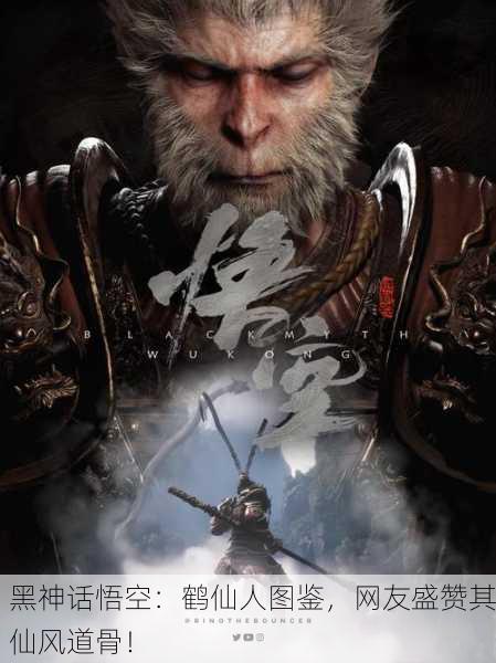 黑神话悟空：鹤仙人图鉴，网友盛赞其仙风道骨！