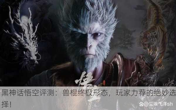 黑神话悟空评测：兽棍终极形态，玩家力荐的绝妙选择！