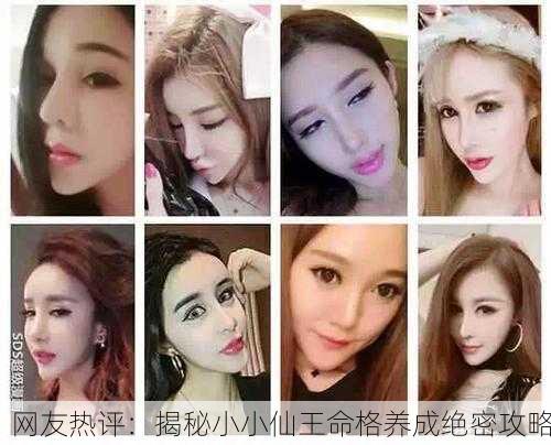网友热评：揭秘小小仙王命格养成绝密攻略
