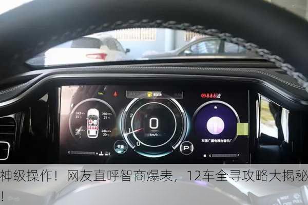 神级操作！网友直呼智商爆表，12车全寻攻略大揭秘！