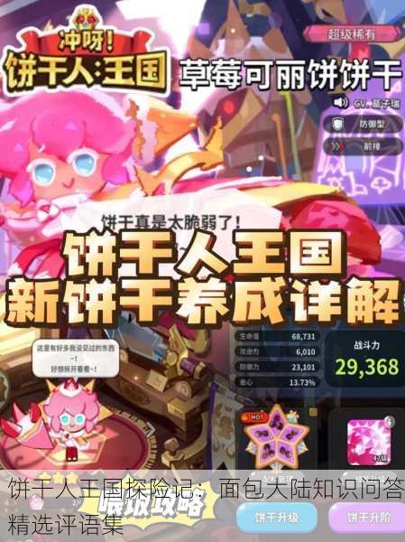 饼干人王国探险记：面包大陆知识问答精选评语集