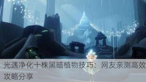 光遇净化十株黑暗植物技巧：网友亲测高效攻略分享