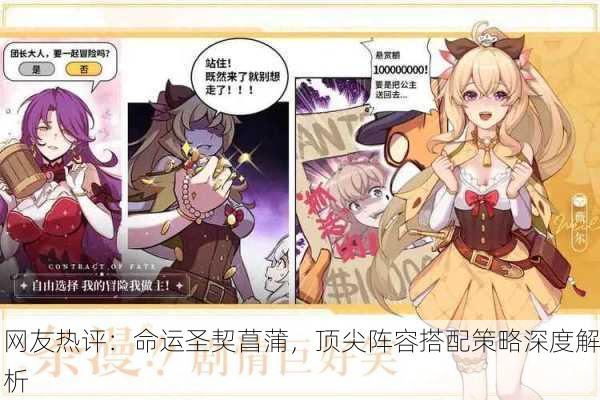 网友热评：命运圣契菖蒲，顶尖阵容搭配策略深度解析