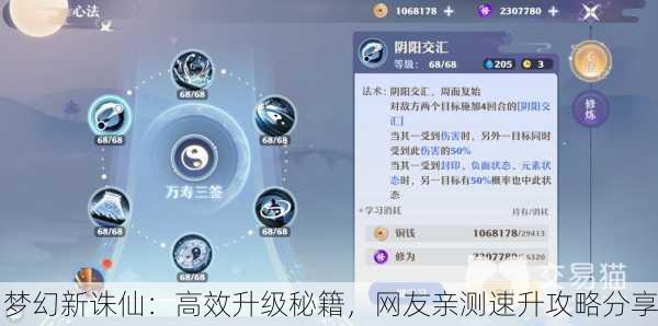 梦幻新诛仙：高效升级秘籍，网友亲测速升攻略分享